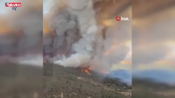 İzmir Foça'da orman yangını!