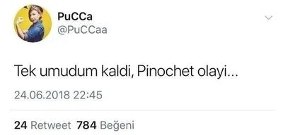 Pucca lakaplı Pınar Karagöz nasıl fenomen oldu? Pınar Karagöz kimdir?-2