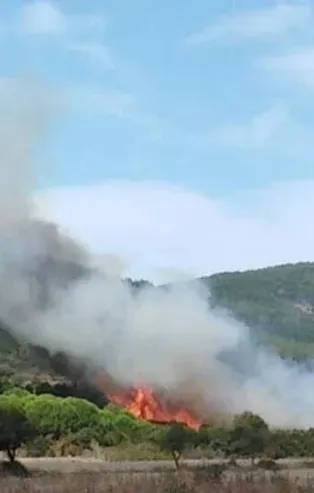 Son dakika: Çanakkale'de orman yangını