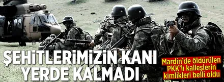 Mardin'de PKK'ya ağır darbe