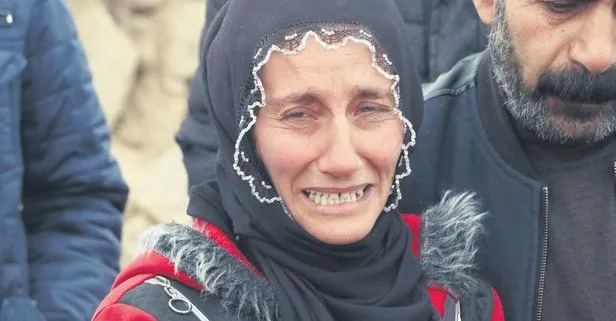 Devlet ana