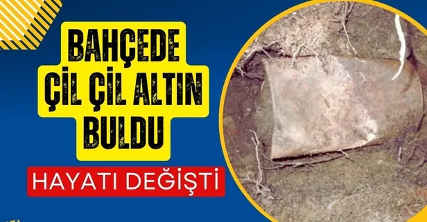 1247 parçayla hayatı sil baştan değişti! Evinin bahçesinde çil çil altın buldu