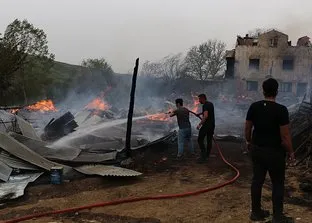 Kastamonu’da 2 ev, sera ve ahırlar yandı: 4 büyükbaş hayvan öldü