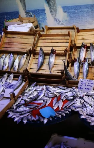 Balık bolluğu fiyatlara yansıdı!