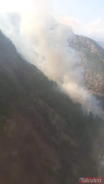 Adana’da orman yangını! Karadan müdahale ediliyor