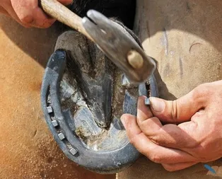 Rüyada nal görmek ne anlama gelir?