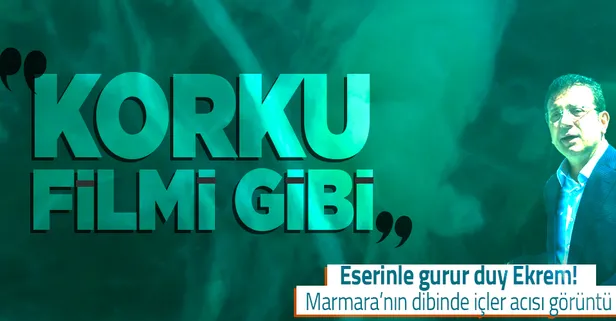 Marmara'nın dibinde içler acısı görüntü! İşte müsilajın tahribatı! Resmen korku filmi gibi!