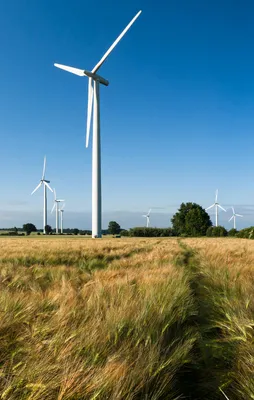 Devler Türkiye'nin rüzgarı için yarışacak