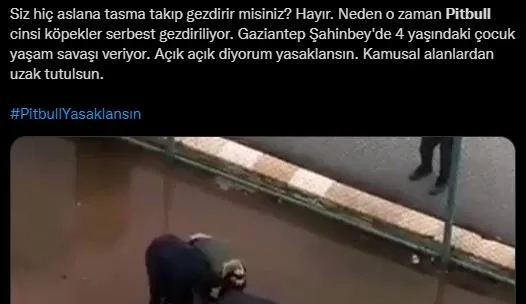 Gaziantep'te Pitbull dehşeti! 4 yaşındaki Asiye Ateş ağır yaralandı... 3 tutuklama-8