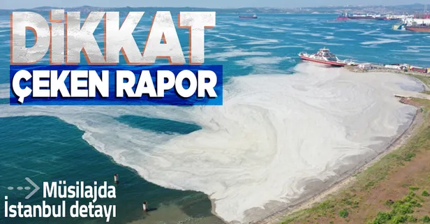 Marmara Denizi'ndeki müsilaj raporunda şoke eden İstanbul detayı