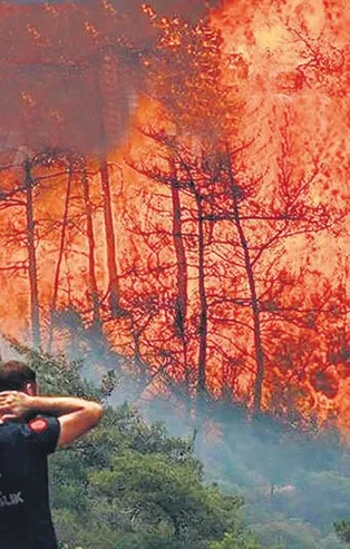 Marmaris'te çıkan orman yangınına sabotaj şüphesiyle soruşturma başlatıldı!
