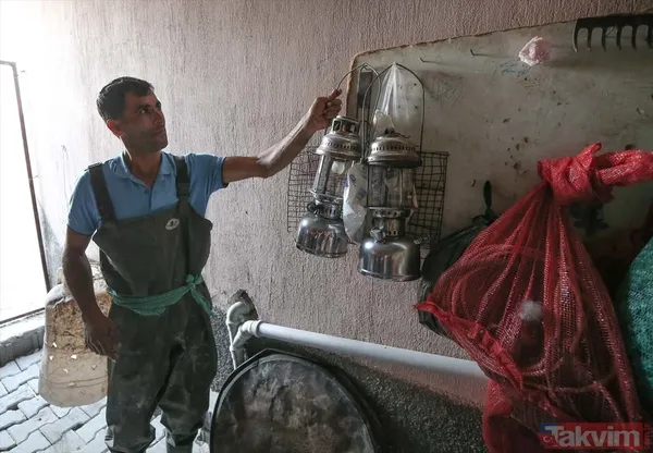 Günlük 900 lira kazanıyorlar! Türkiye'nin birçok ilinden toplanan kurbağalar Avrupa'ya ihraç ediliyor - 5