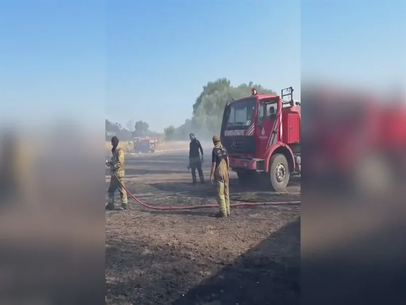 silivride-otluk-alandaki-yangina-mudahale-sirasinda-itfaiye-araci-yandi-1-itfaiyeci-yaralandi-1752076369564.jpeg Silivri'de otluk alandaki yangına müdahale sırasında itfaiye aracı yandı: 1 itfaiyeci yaralandı. (DHA)