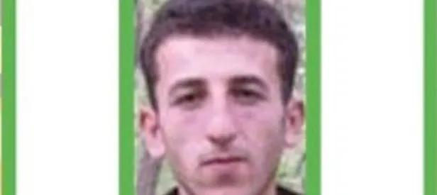 Diyarbakır Lice'de terör operasyonu