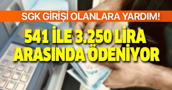 541 Ile 3 250 Lira Arasinda Odeniyor Sgk Girisi Olanlara Para Yardimi E Devlet Basvuru Sartlari Nelerdir Takvim