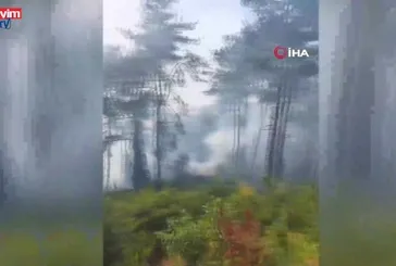 Hatay'da korkutan orman yangını