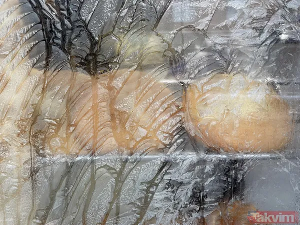 Ardahan'da saç donduran soğuk! Hava sıcaklığın -20'ye kadar düştü - 6