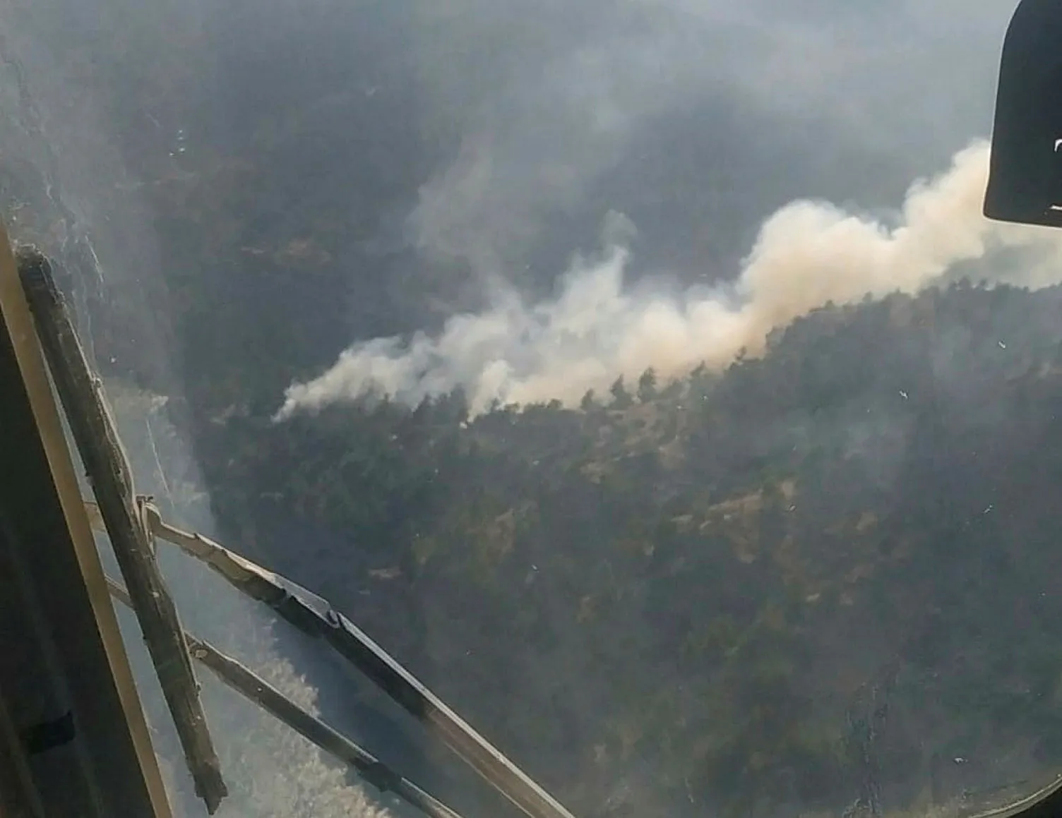Orman yangını söndürüldü ama...