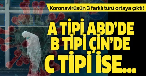 Son dakika: Koronavirüsün 3 farklı türü ortaya çıktı!