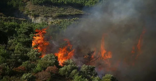 MHP’li Vahapoğlu’ndan orman yangınlarıyla ilgili önemli açıklama: Faili belli! PKK ve işbirlikçileri...