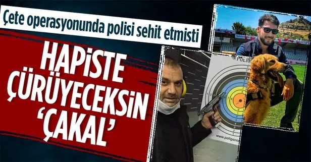 ’Çakal’ lakaplı sanık hakim karşısında