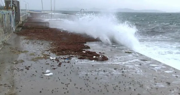 Caddebostan Sahili kırmızı yosunlarla kaplandı
