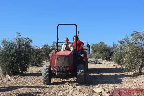 Her yıl 6 aylığına gittiği Kilis'ten dünyaya tonlarca zeytinyağı ihraç ediyor - 4