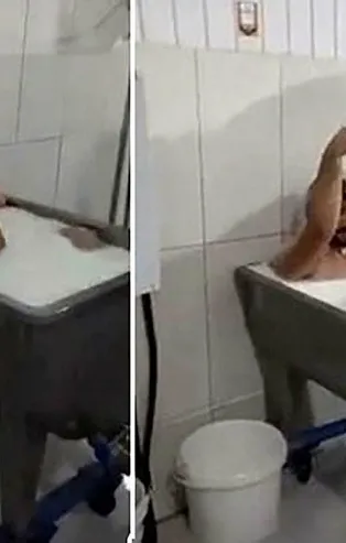 Süt toplama merkezindeki süt banyosu rezaletinde flaş gelişme!