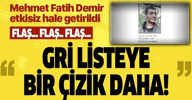 Bakanlık açıkladı: Gri kategoride aranan Mahsum kod adlı terörist Mehmet Fatih Demir etkisiz hale getirildi