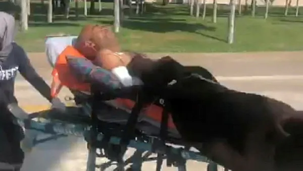 tuncelide-yaban-domuzunun-saldirdigi-coban-askeri-helikopterle-hastaneye-goturuldu-1632224322193.jpg Tunceli'de yaban domuzunun saldırısı sonucu ağır yaralanan çoban askeri helikopterle hastaneye götürüldü-2