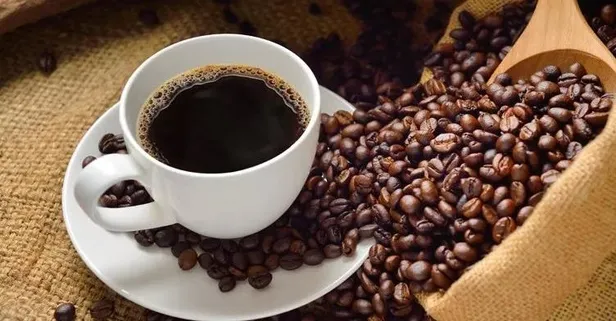 Harvard'lı uzmanlar, zinde tutan alışkanlıkları açıkladı!