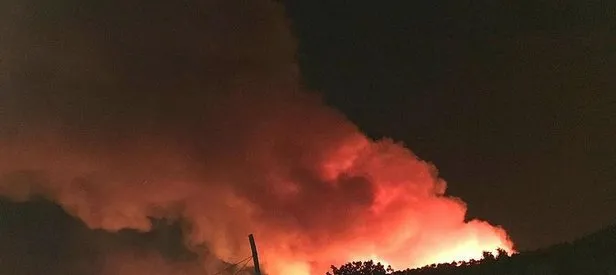 Kütahya’da orman yangını