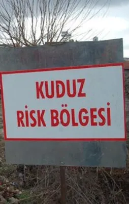 O ilçede kuduz karantinası