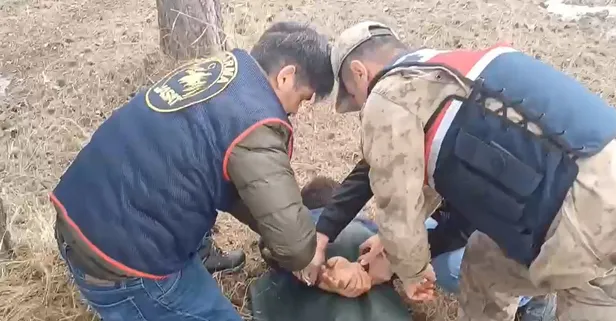 Kars'ta ormana kaçan firari hükümlü yakalandı!