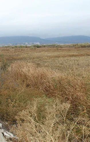 İki ilde kuraklık alarmı! Beyşehir Gölü'nde sular çekildi, ortaya bu manzara çıktı...