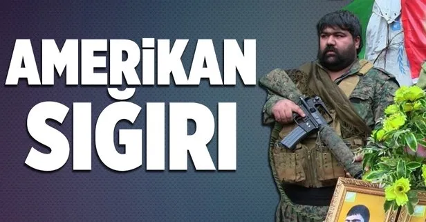 Afrinde terörist cenazeleri bir bir kaldırılıyor