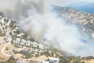 İzmir Dikili'de orman yangını | SON DURUM
