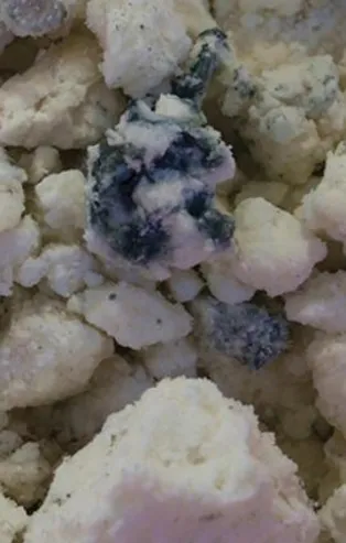 Uzmanlar özellikle uyarıyor! Küflü diye besinleri çöpe atıyoruz ama atmayın, meğer...