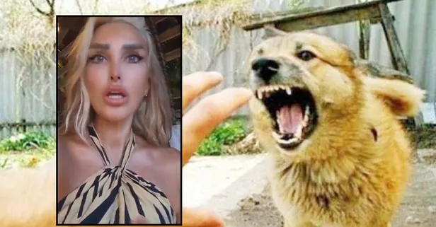 Başıboş köpek lafı boş Seren Serengil sorunu! "Korkan insan tedavi olsun" önerisi: Rezil sözlerle Başkan Erdoğan'ı hedef aldı