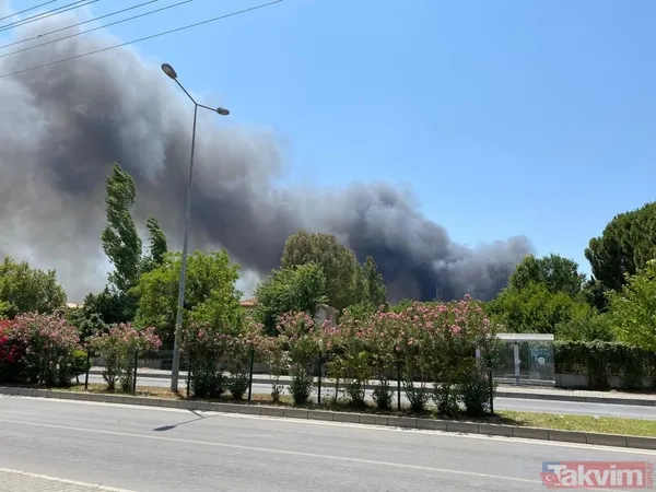 SON DAKİKA: Muğla Dalaman'da yangın! 24 saat geçmeden alevler yeniden yükseldi - 4