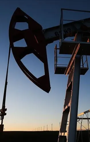 Suudiler krize girdi