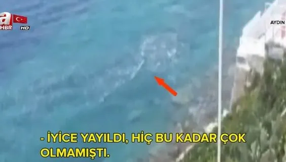 Kuşadası’ndan pis kokular geliyor! CHP’li Kuşadası Belediyesi konuya sessiz...