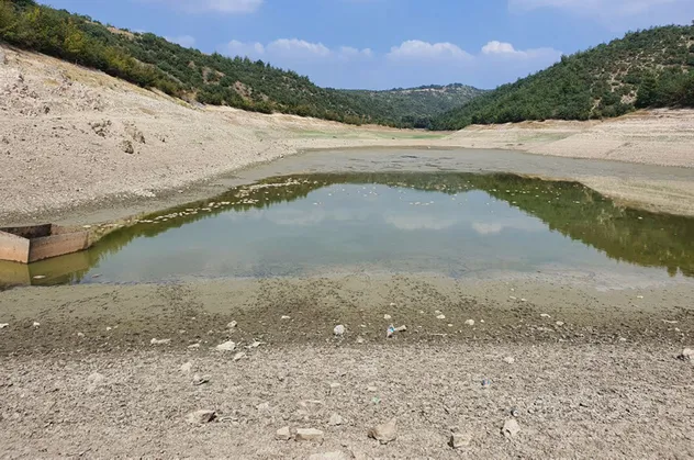 Bursa'da göletteki su çekildi balıklar öldü