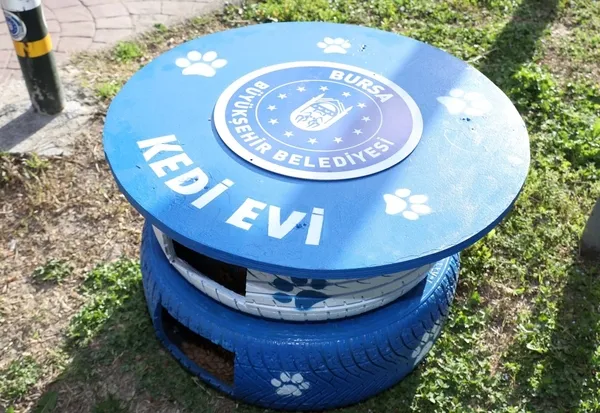 eski-lastikler-kedilere-ev-oldu-1649332689559.jpg Eski lastikler kedilere ev oldu-1