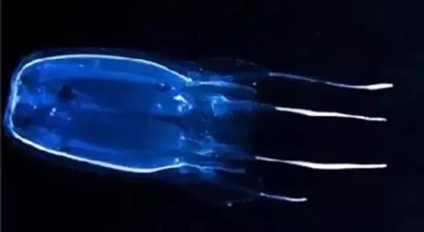 Dokundukları yeri tarumar ediyorlar! Milyarlarca insanın katili oldular! Her biri birer ölüm makinesi!-7