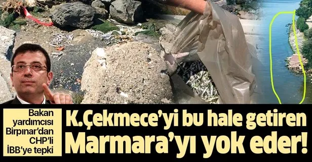 Bakan Yardımcısı Birpınar’dan CHP’li İBB’ye tepki: K.Çekmece’yi bu hale getiren kirlilik Marmara’yı da yok eder