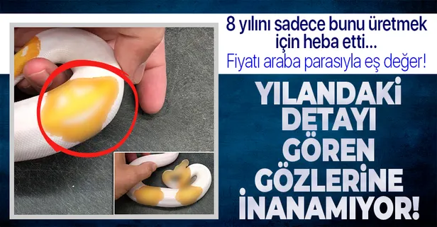 Yılandaki detayı gören gözlerine inanamıyor! Tam 8 yılını bunun için harcadı! Emoji desenli...