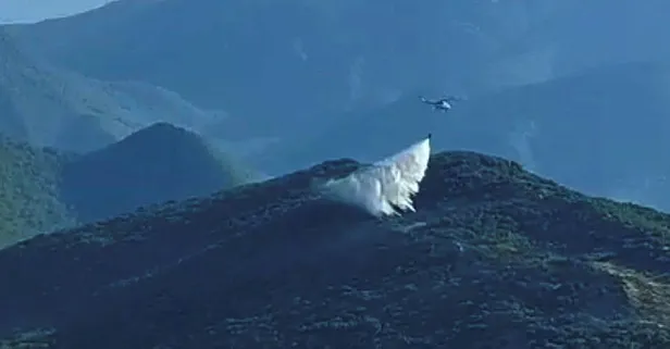 Gaziantep'te 2 dönüm ormanlık alan yandı