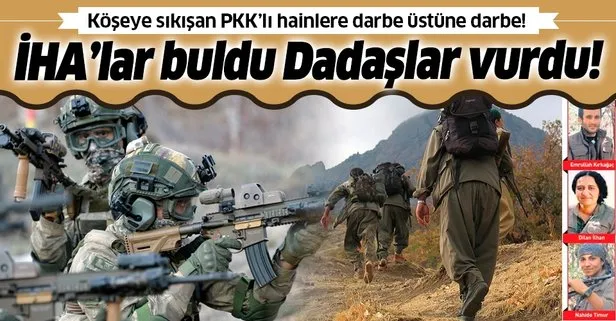 SON DAKİKA: Herekol Dağı’nda çırpınan terör örgütü PKK’ya ’Dadaşlar’ darbesi