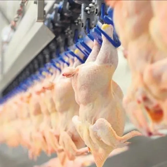 Beyaz et devlerine 3.7 milyar TL ceza